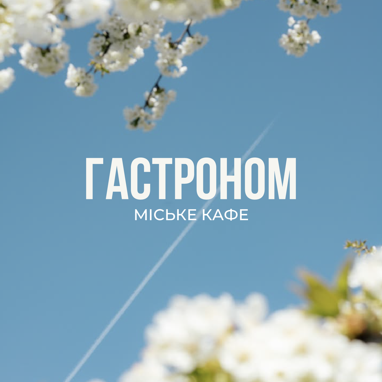 Вулиця Філатова.